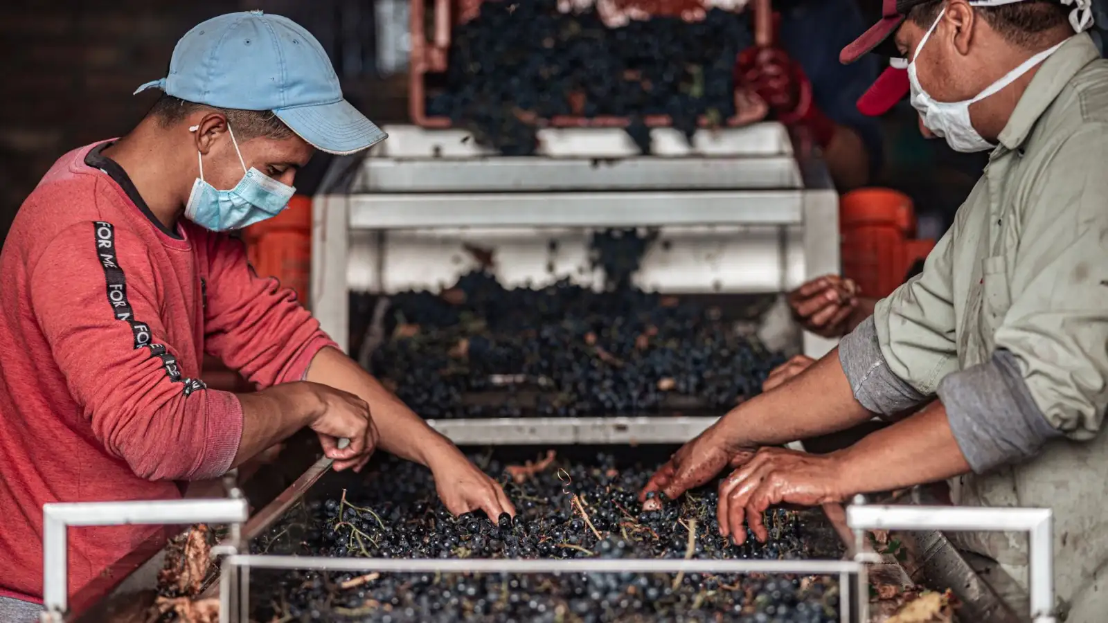 数据中心机柜整理方案对比：线缆绑扎与接地工程的关键环节