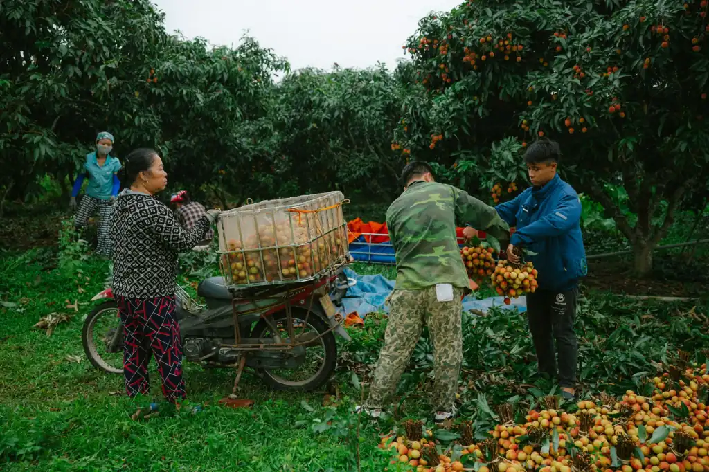 机柜整理与标签标识工程：提升机房管理效率的关键步骤