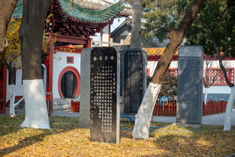 海南企业光纤布线工程要点：机柜整理与线缆绑扎一体化方案