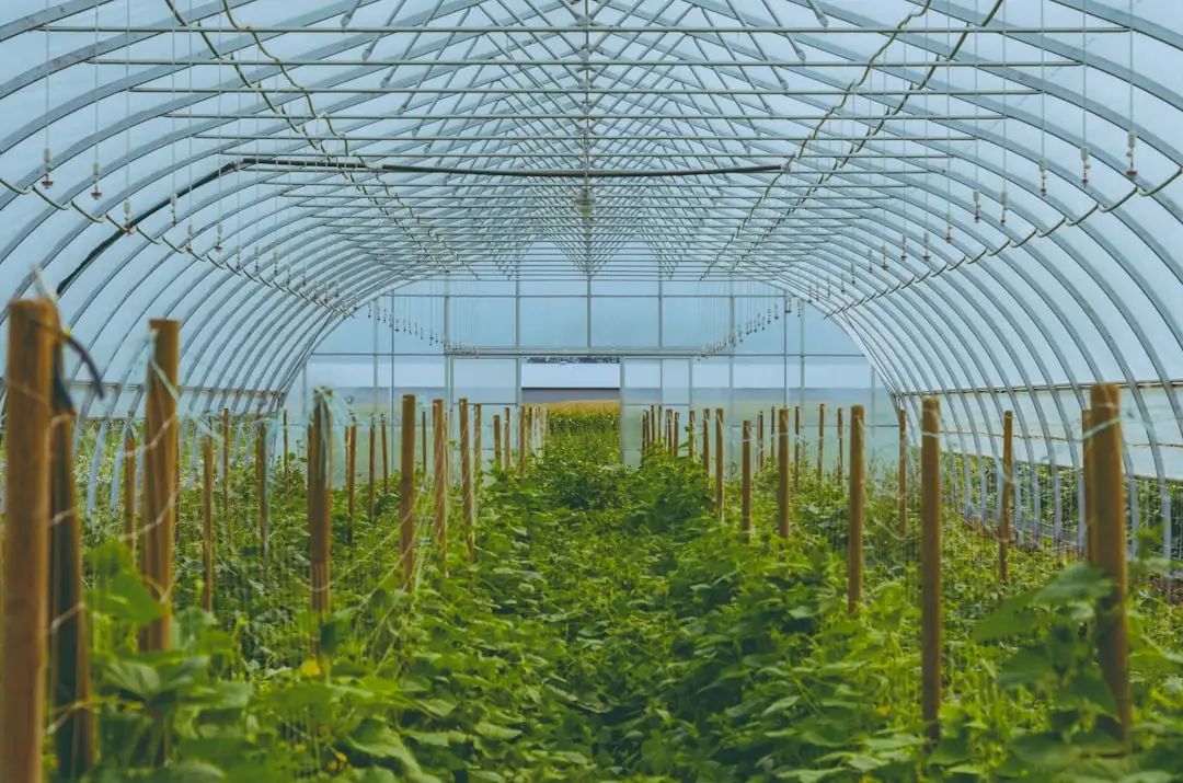 机柜整理与线缆绑扎标准化操作对网络机房运维效率的影响
